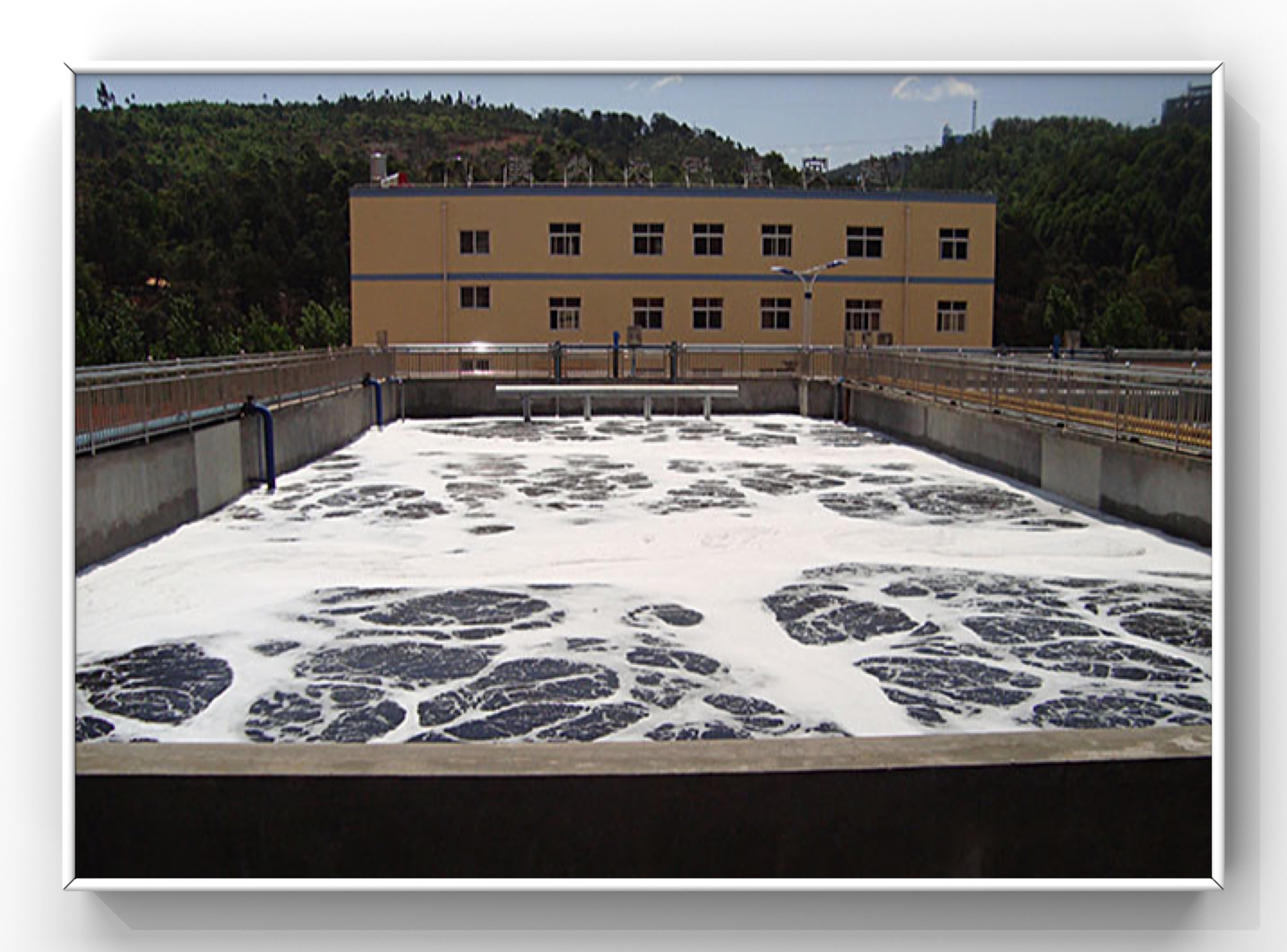 武定污水處理廠現(xiàn)場