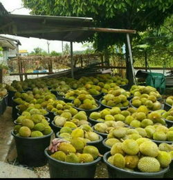 2020年香港食品貿(mào)易資訊概覽 1144家批發(fā)及零售商戶數(shù)據(jù)解析